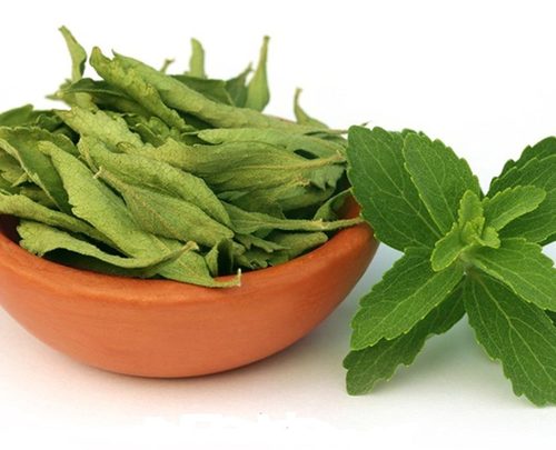 Fresh And Dried Stevia Leaves