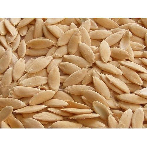 White Indian Origin Dried Cucumber Seeds