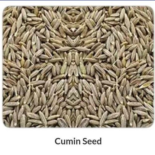 Natural Processed Cumin Seed