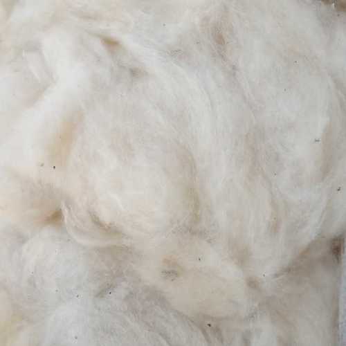 Organic Pure Ilavam Panju Cotton