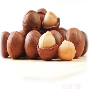 AA Grade Macadamia Nuts