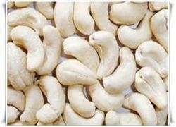 Curved White Cashew Nut