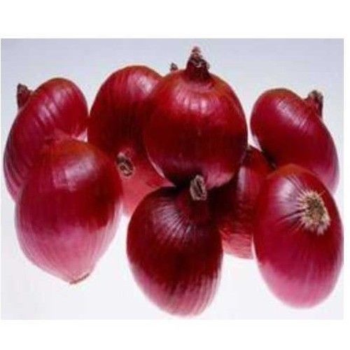 Nutrition Enriched Organic Red Onion