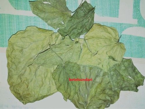 Dry Aroma Betel Leaves