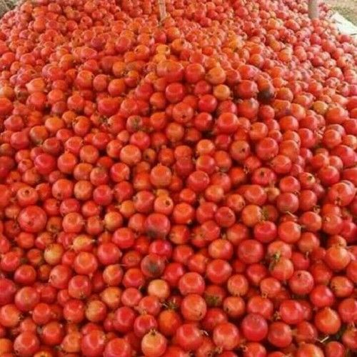 Fresh And Delicious Pomegranates