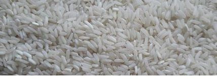 Top Quality Rice