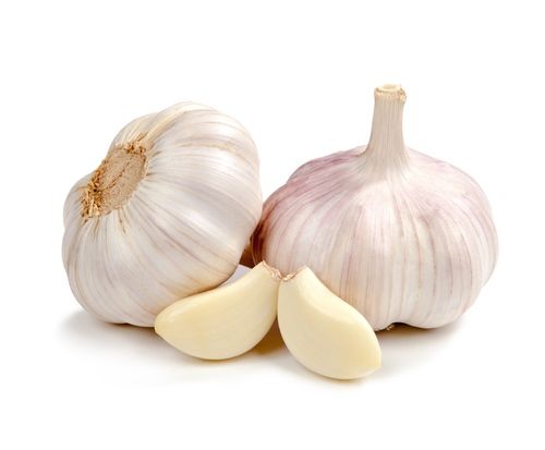 Fresh Organic White Garlic