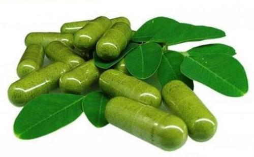Moringa Capsules for Food Supplement