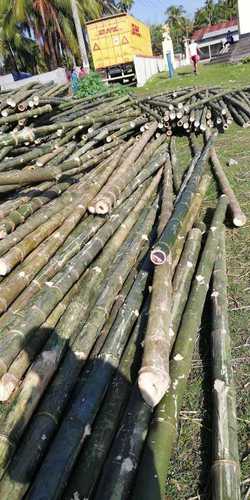 Premium Quality Balcoa Bamboo