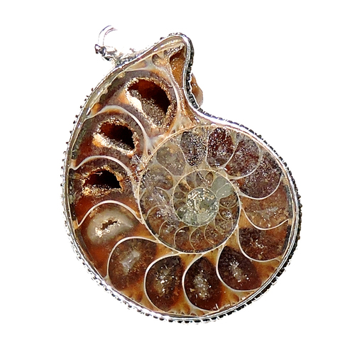 Natural Stone Ammonite Pendant Size: Customized