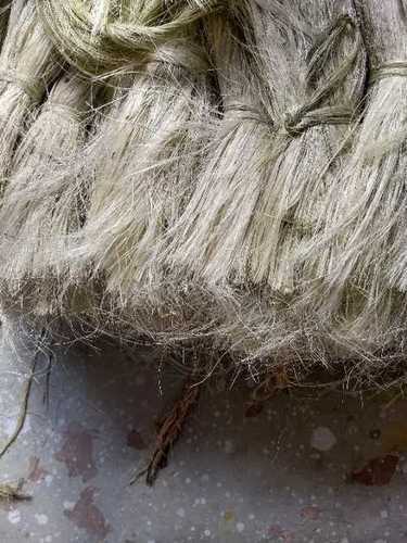 Naturally Extracted Dried Sisal Fibres