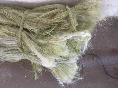 Naturally Extracted Sisal Fibres