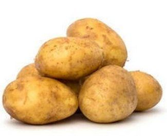 Small Size Fresh Potato