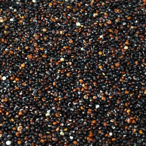 Black Quinoa Seeds From Peru