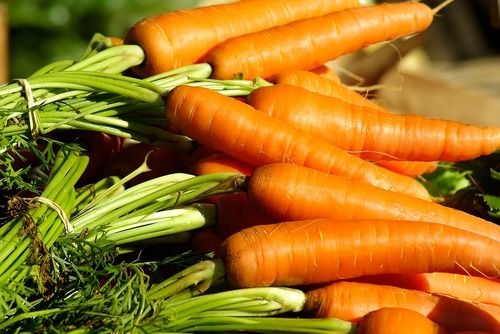 Hygienically Cultivated Fresh Carrot