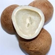 Brown Mouth Watering Dry Coconut