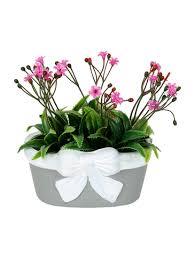 Colored Artificial Flower Plant