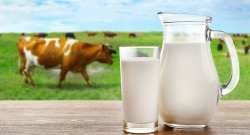  कैल्शियम फ्रेश गाय के दूध में उच्च 