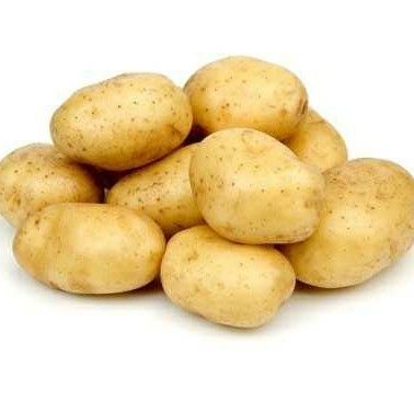 Organic Oval Shape Fresh Potato