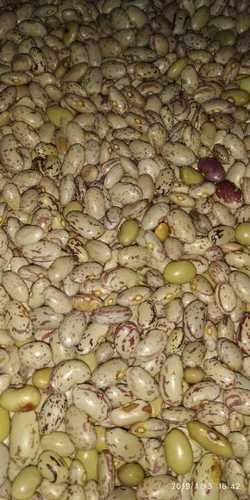 Quality Tested Organic Kidney Beans