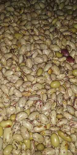 Fresh Quality Tested Organic Kidney Beans