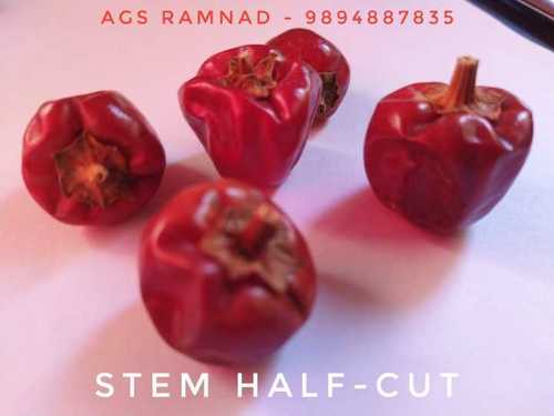 Stemcut Mundu Chillies