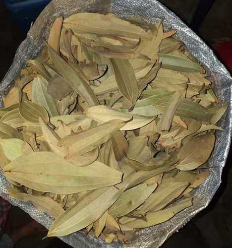 Bay Leaf (Tej Patta) 