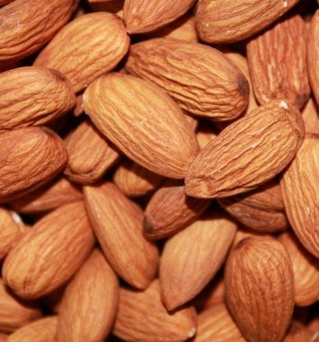 Fresh Almond Nut