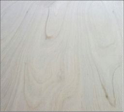 Commercial Floor Plywood Face