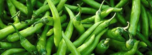 Natural Fresh Green Chilli