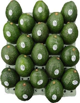 Fresh Avocado Fruit