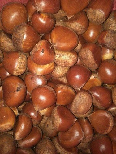 Fresh Chestnuts