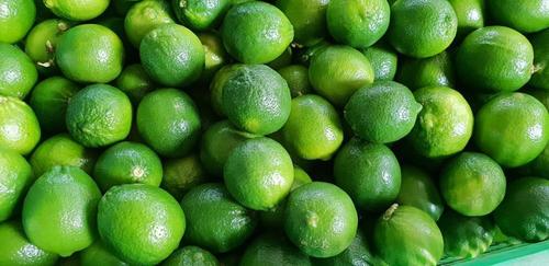 Round Fresh Green Seedless Lime