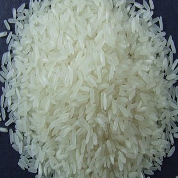 Fresh New Crop Jasmine Rice