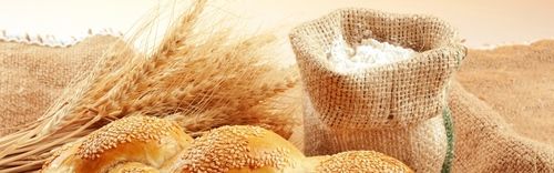 Highly Nutritional Value Organic Wheat Flour