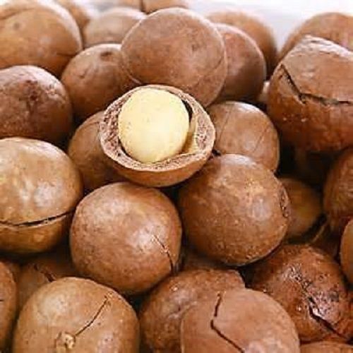 Common Macadamia Nuts