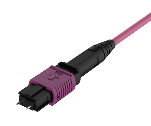 MPO-MPO Female 12F OM4 Patch Cord