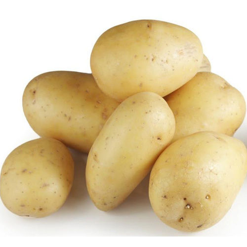 New Harvest Fresh Potatoes