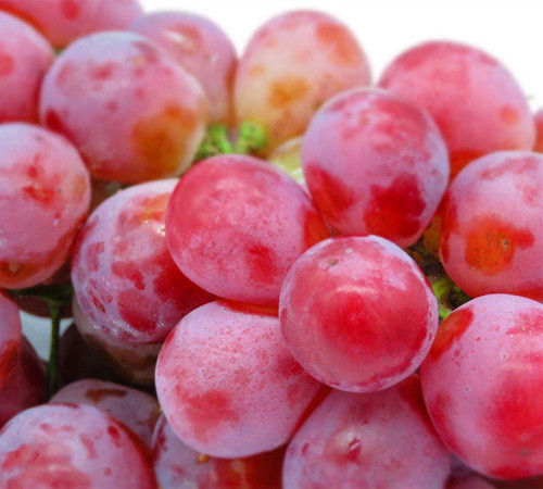 Common Red Globes Grape Fruit