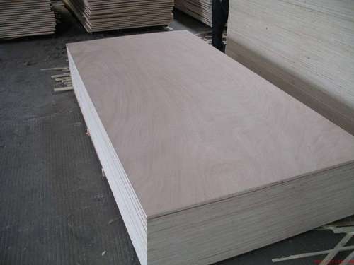 Top Quality Packing Plywood