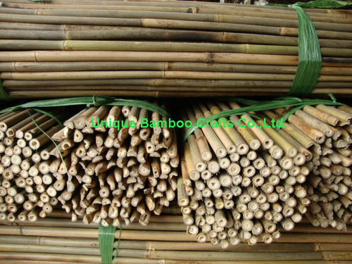 Farm or Garden Use Dry Bamboo Cane