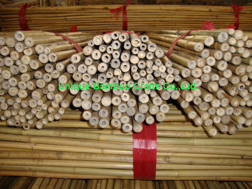 Garden or Plant Supporting Use Quality Bamboo Cane