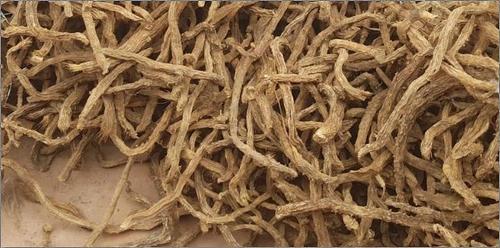 Natural Brown Homalomena Roots