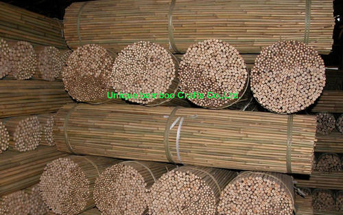 Natural Bamboo Cane for Plant