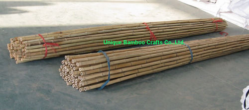 Agricultural And Garden Support Use Straight And Dry Fumigated Bamboo Stick