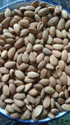 Brown High Nutrition Dried Almond Nuts