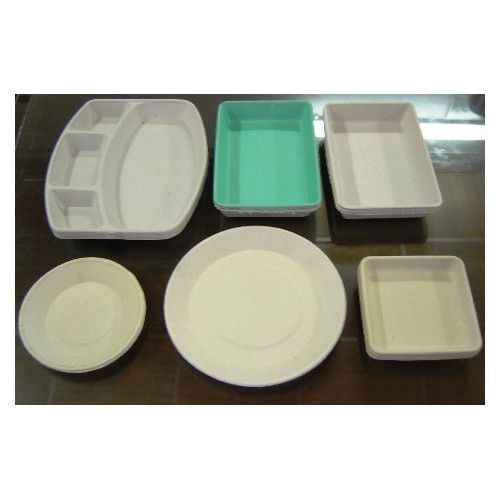 Pulp Molded Packaging Tray