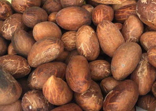 Common Brown Nuts (Bitter Kola)