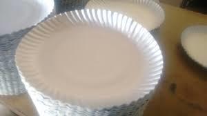 Disposable Paper Food Plates