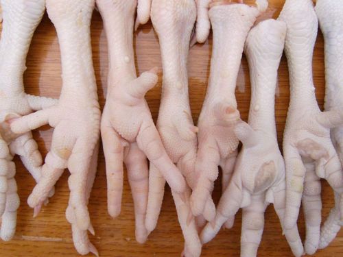 Frozen Fresh Chicken Feet 